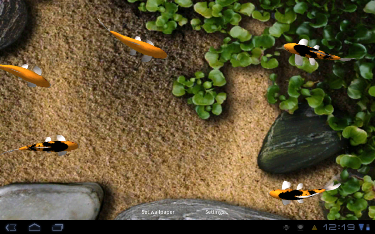Koi live wallpaper full version free download for android iphone